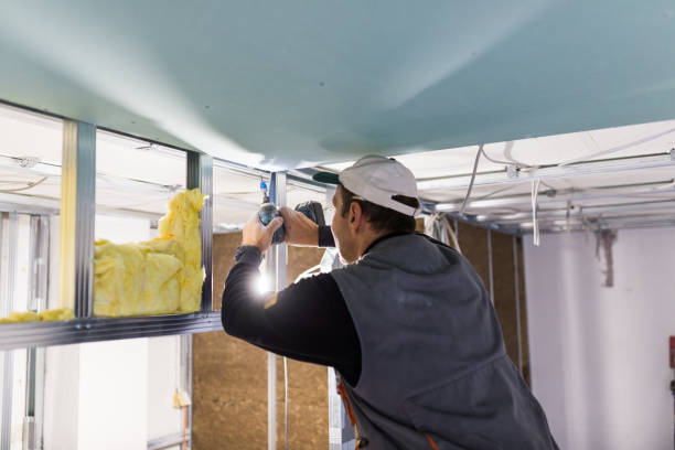 Best Insulation Installation Services in Green Valley, CA