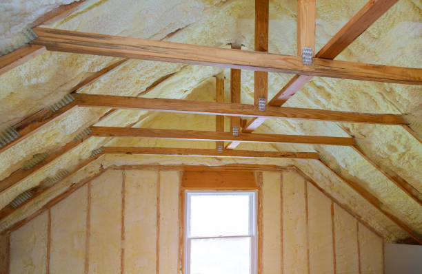 Best Insulation Maintenance and Repair in Green Valley, CA